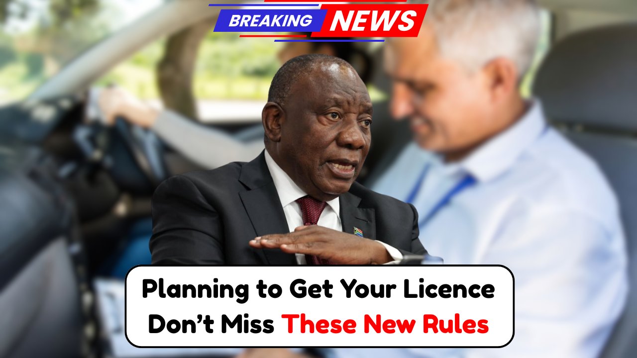 Driver’s Licence 2025
